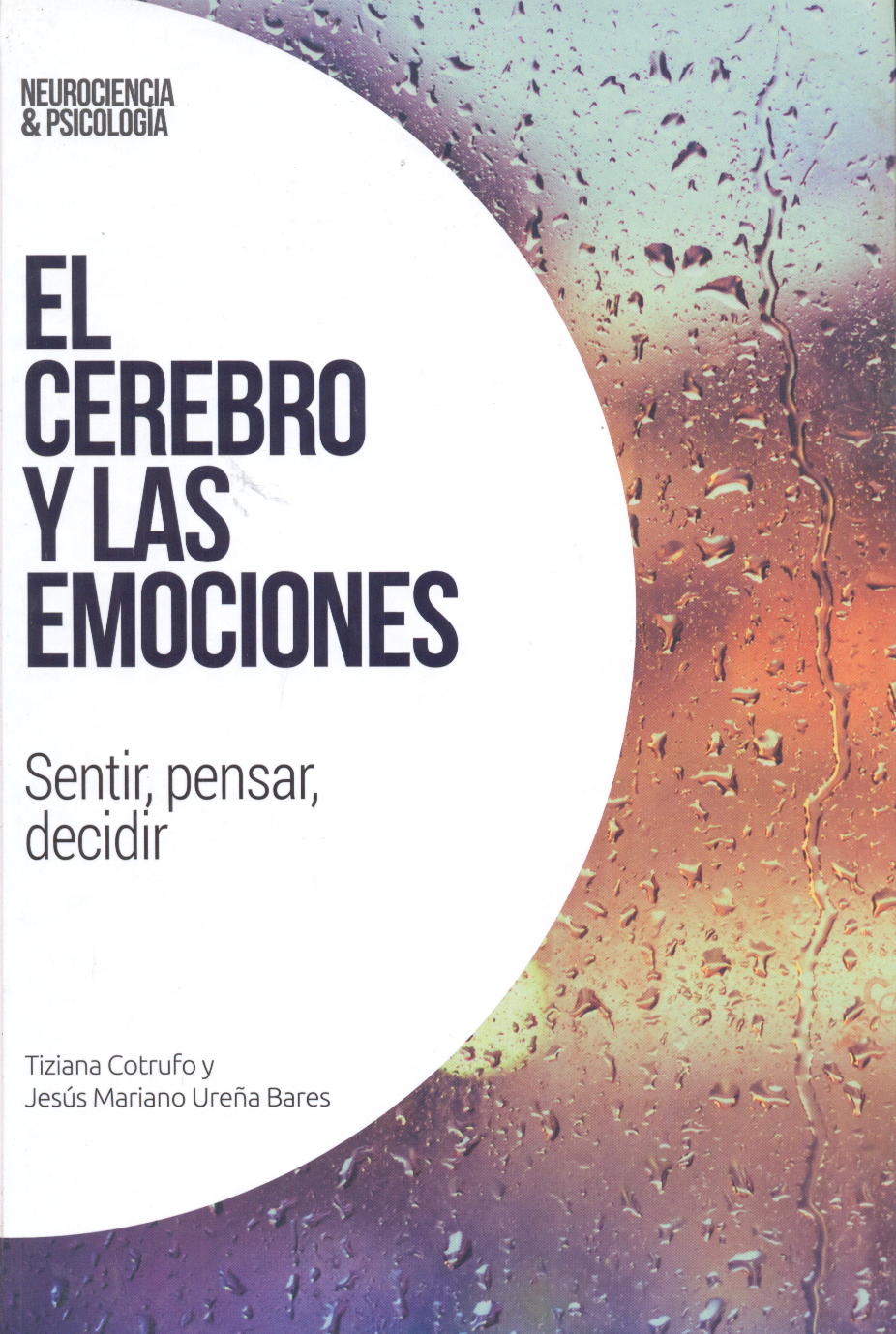 El cerebro y las emociones