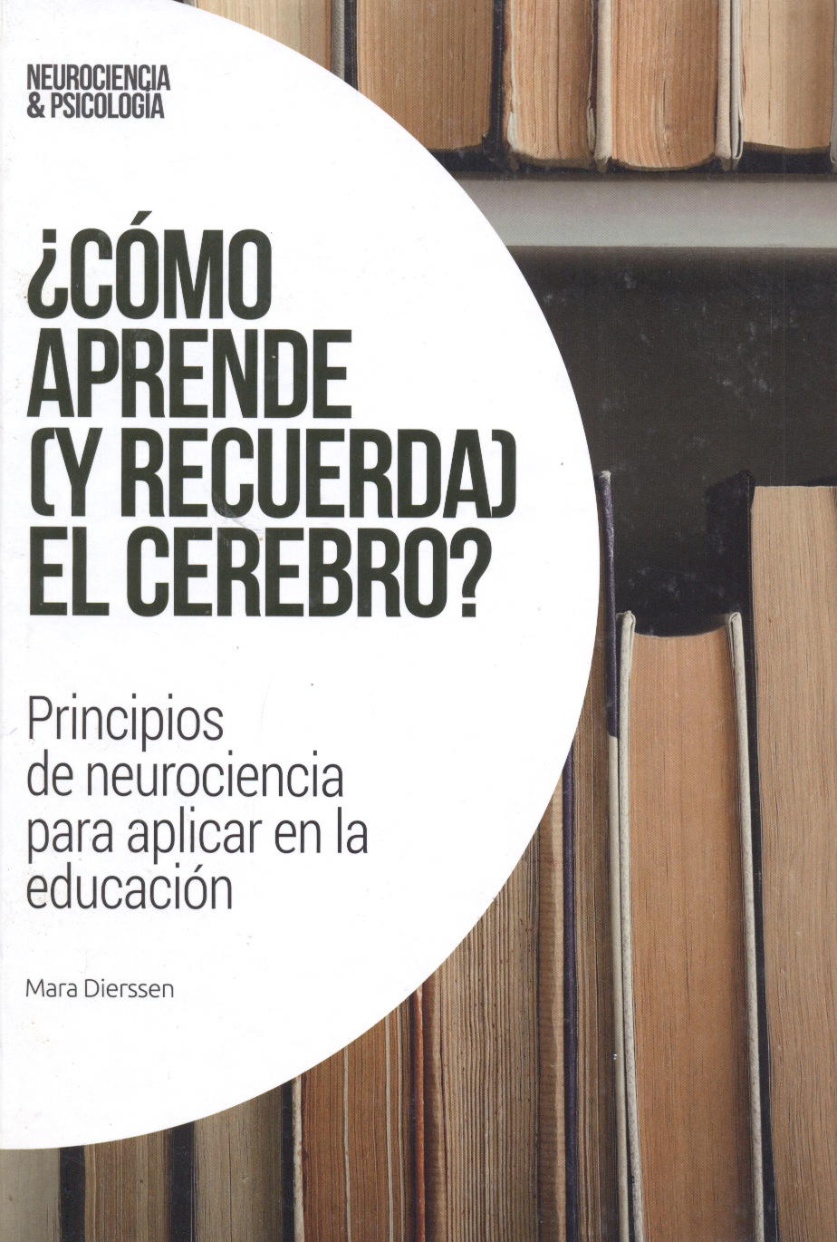 ¿Cómo aprende (y recuerda) el cerebro?