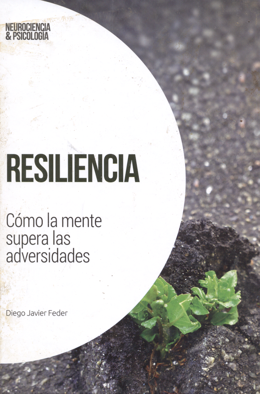 Resiliencia