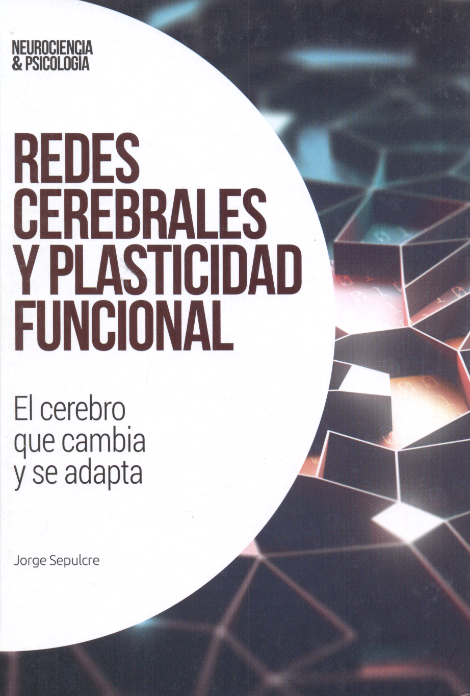 Redes cerebrales y plasticidad funcional