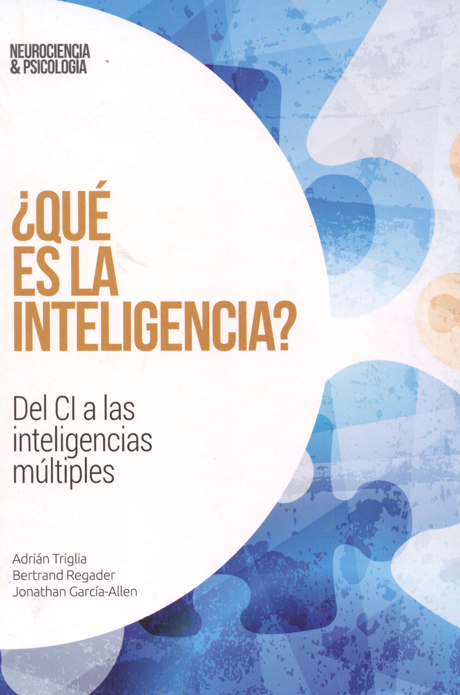 ¿Que es la inteligencia?