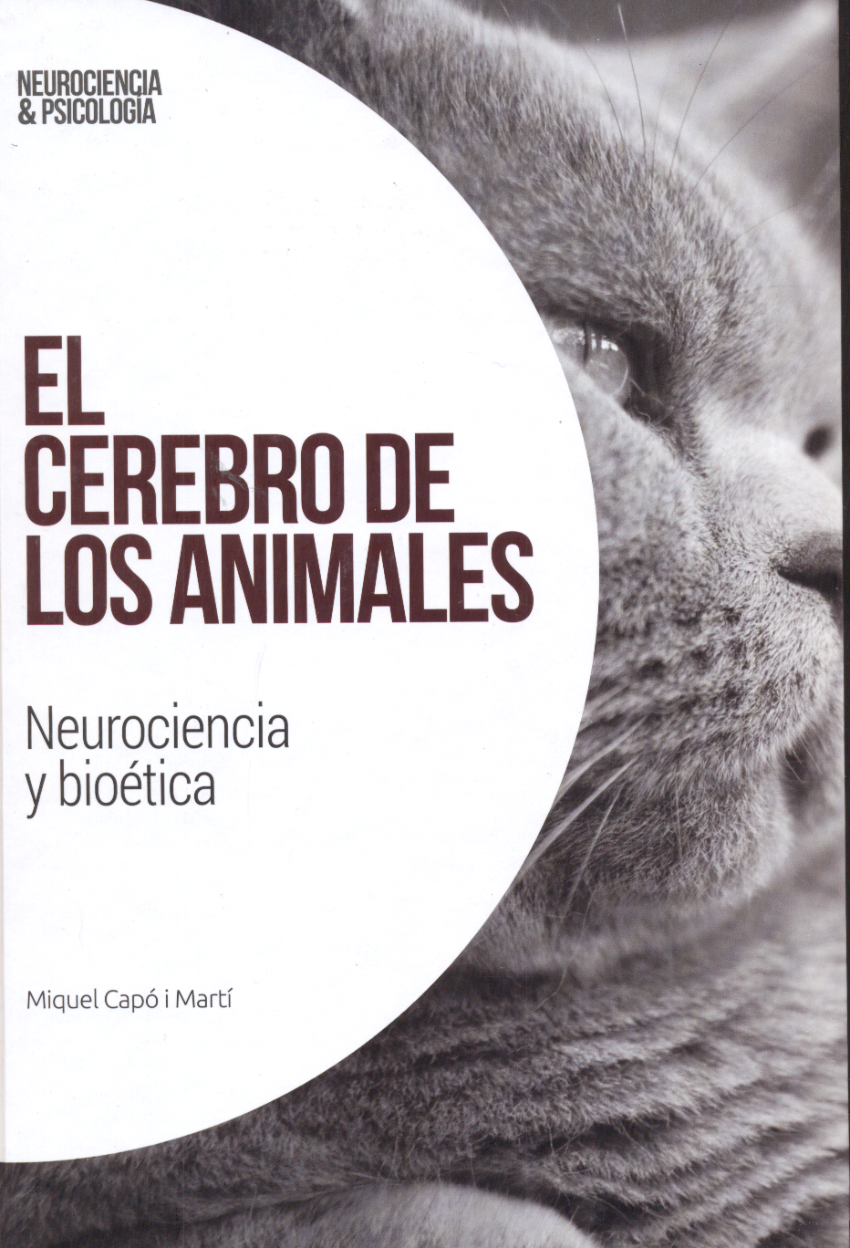 El cerebro de los animales